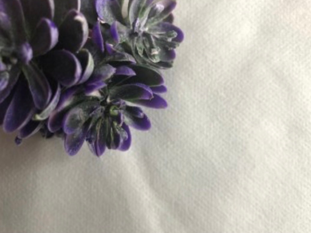 50pcs Professional Non-woven TOWELS Plain Mini