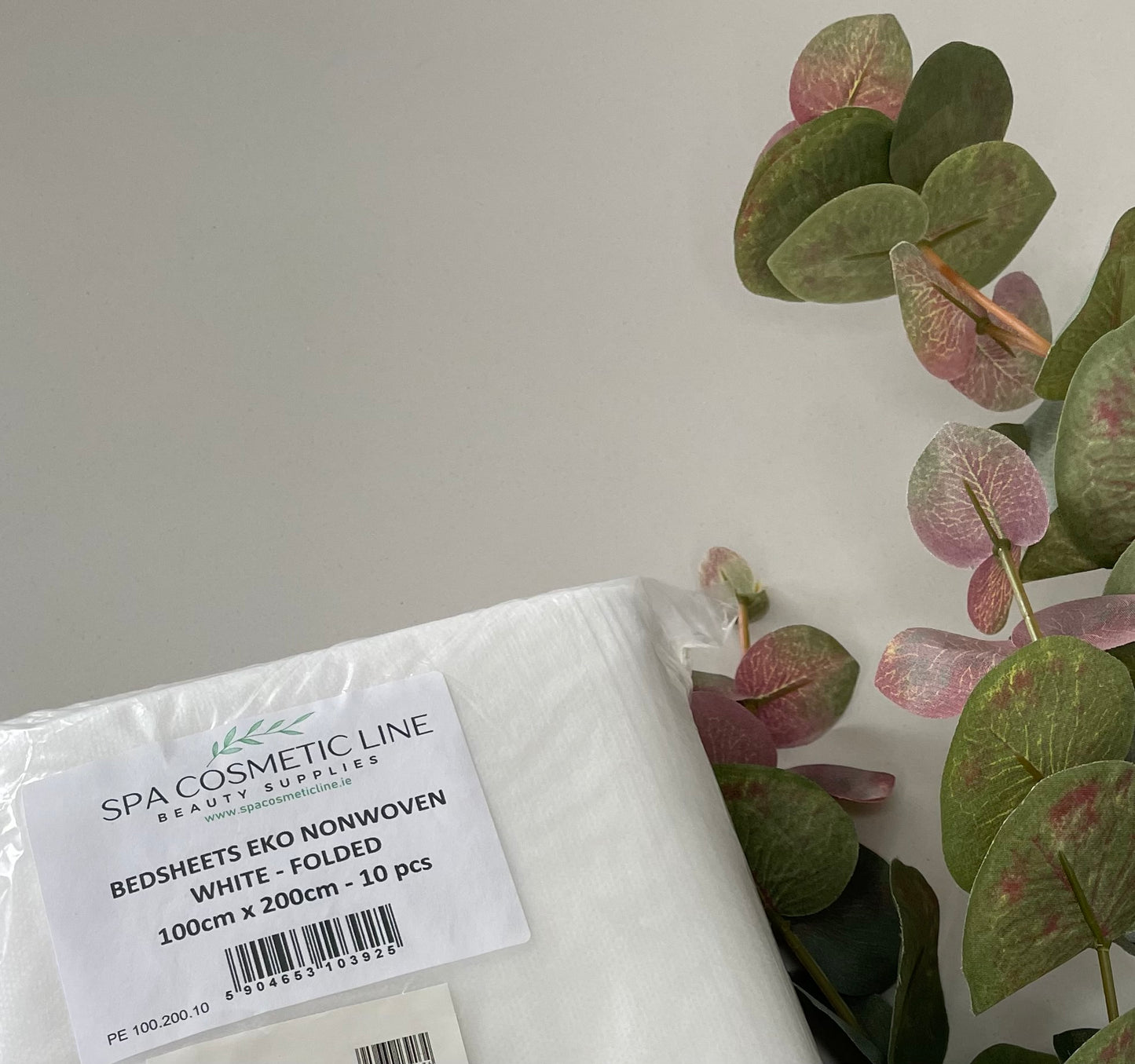 10pcs Non-woven couch cover sheets with elastic bond/ 90cm x 220cm